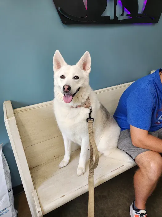 Lake Crest Animal Clinic Picture 10