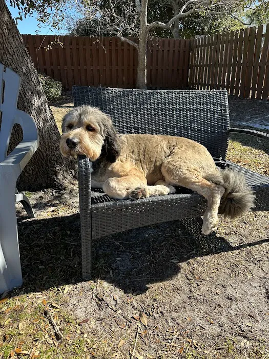 Lake Crest Animal Clinic Picture 9