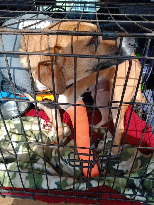 Galleria Animal Clinic Picture 2