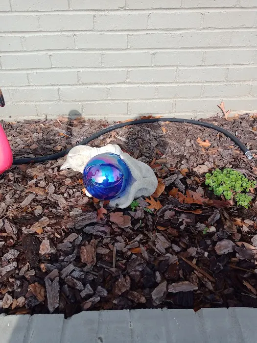 Galleria Animal Clinic Picture 1