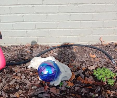 Galleria Animal Clinic