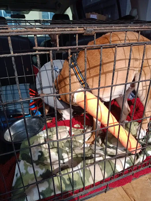 Galleria Animal Clinic Picture 3