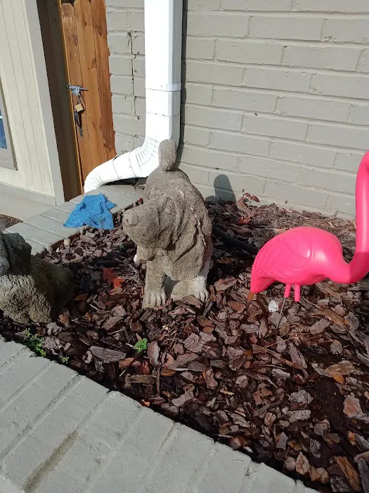 Galleria Animal Clinic Picture 6