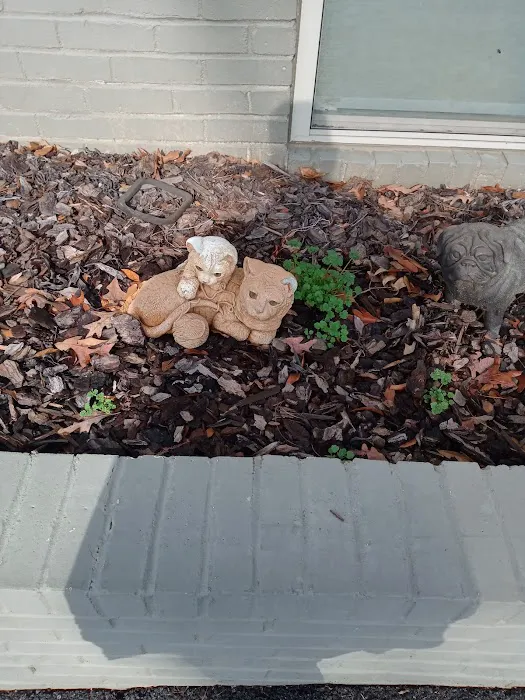 Galleria Animal Clinic Picture 7