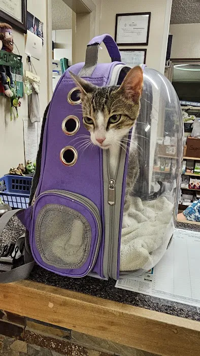 Galleria Animal Clinic Picture 4