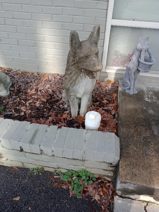 Galleria Animal Clinic Picture 5