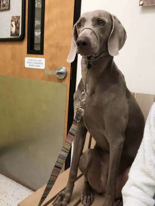 Banfield Pet Hospital Picture 3