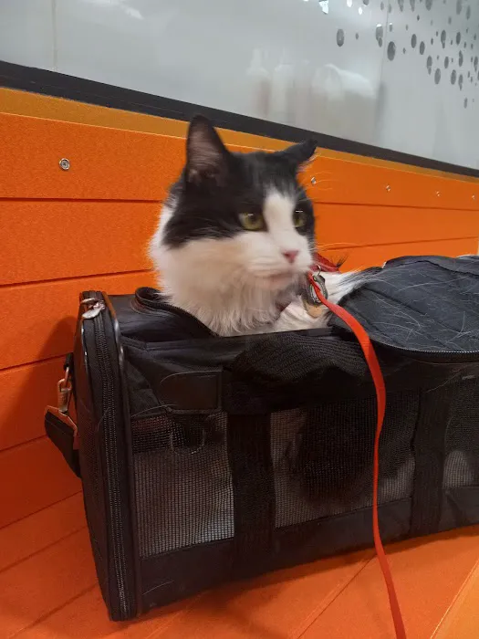 Banfield Pet Hospital Picture 1