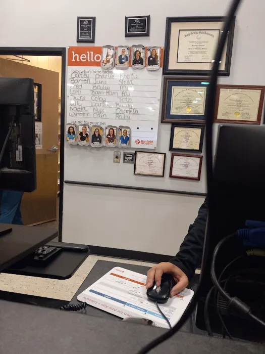 Banfield Pet Hospital Picture 2