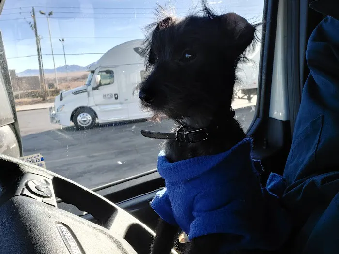 Banfield Pet Hospital Picture 4