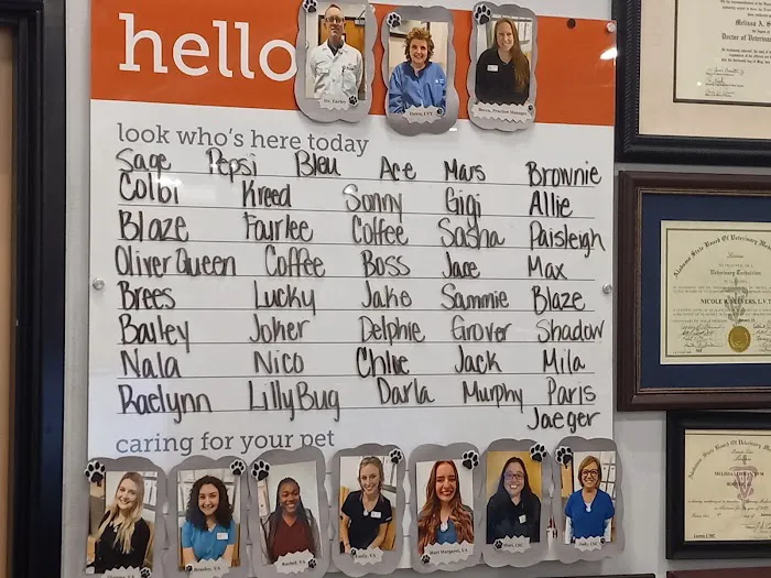 Banfield Pet Hospital Picture 8