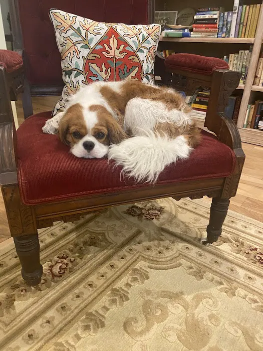 BluePearl Pet Hospital Picture 1