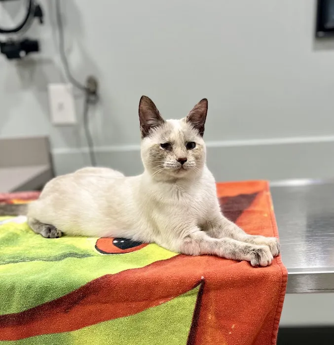 Nelms Susan R DVM Picture 1