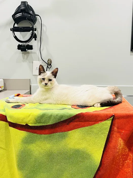 Nelms Susan R DVM Picture 6