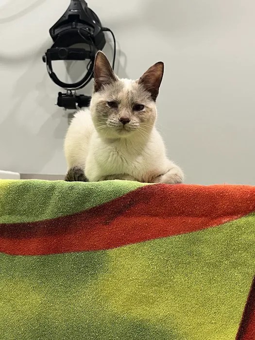 Nelms Susan R DVM Picture 8