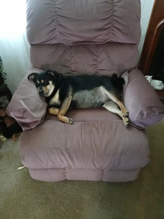 Nelms Susan R DVM Picture 10