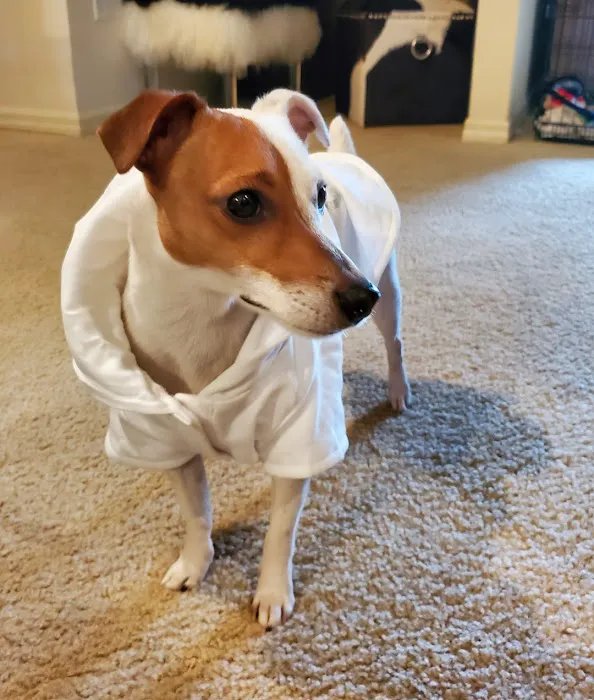 Patton Chapel Animal Clinic Picture 1