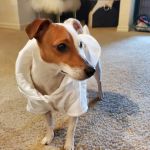 Patton Chapel Animal Clinic