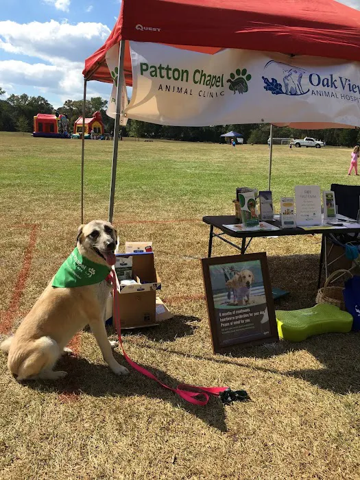 Patton Chapel Animal Clinic Picture 8
