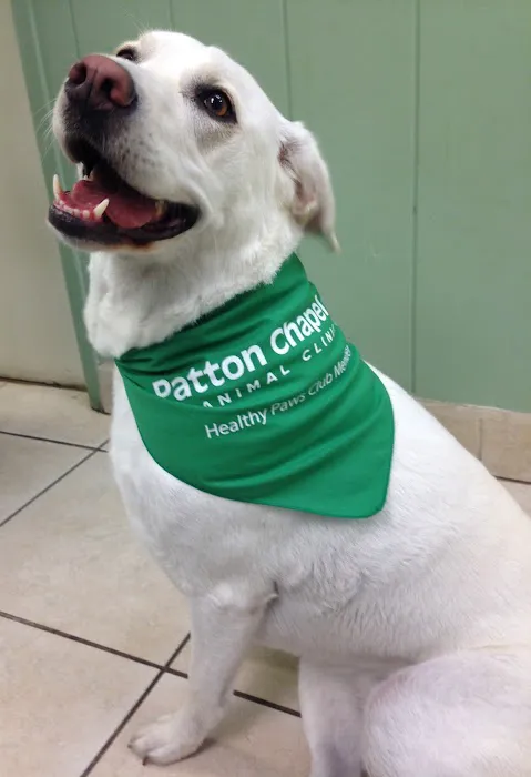 Patton Chapel Animal Clinic Picture 10