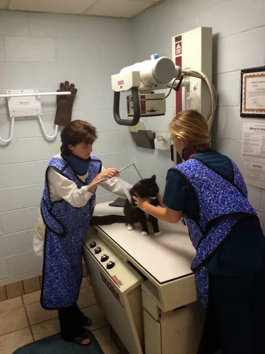 Vestridge Animal Clinic Picture 1