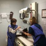 Vestridge Animal Clinic