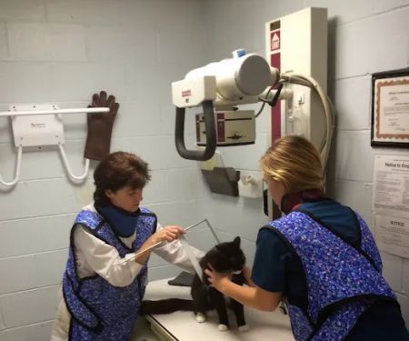 Vestridge Animal Clinic