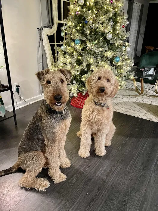 Vestridge Animal Clinic Picture 2