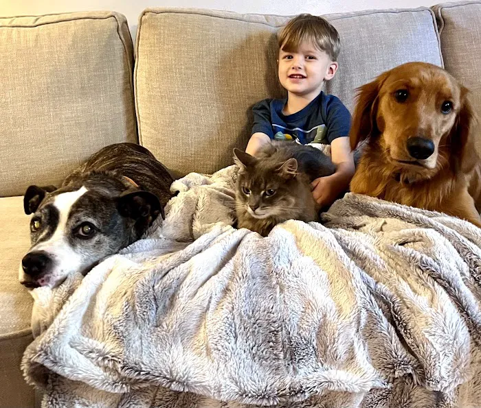 Vestavia Animal Clinic Picture 1