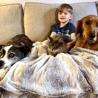 Vestavia Animal Clinic ico