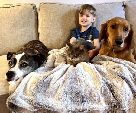 Vestavia Animal Clinic