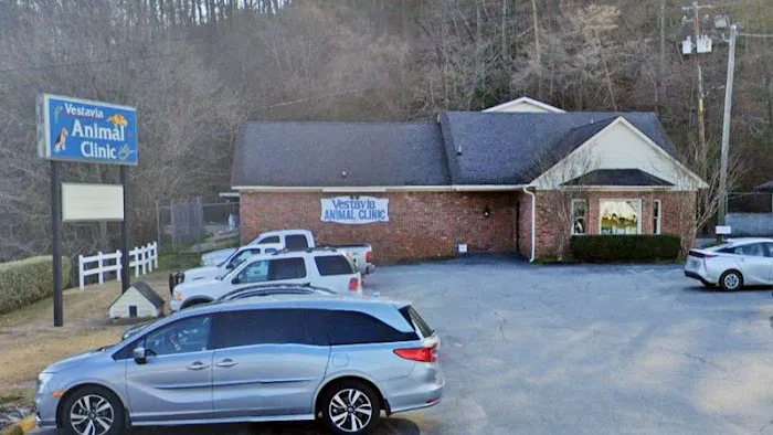 Vestavia Animal Clinic Picture 2