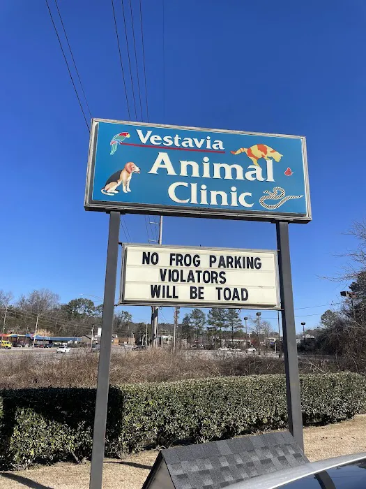 Vestavia Animal Clinic Picture 3