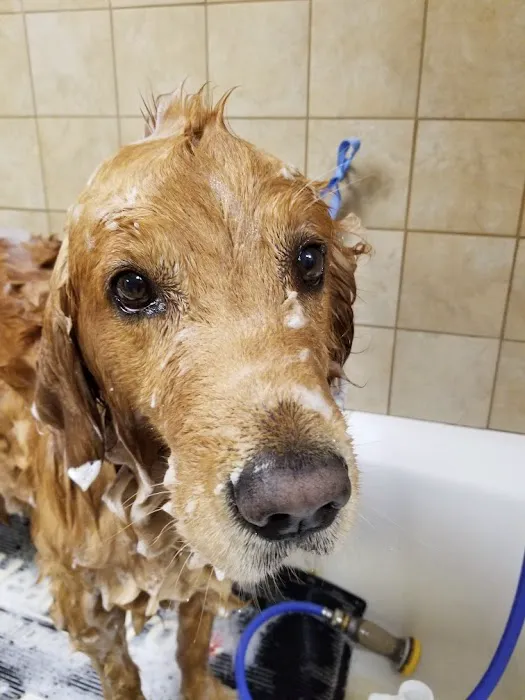 Vestavia Animal Clinic Picture 5