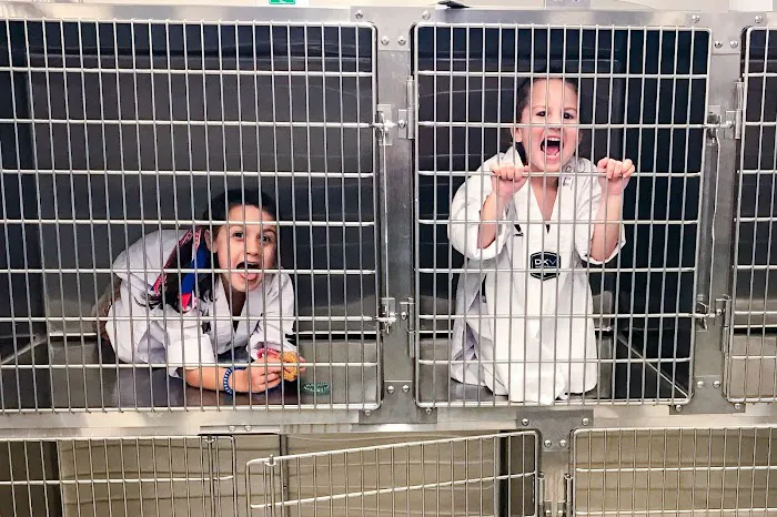 Steel City Emergency Vets Picture 1