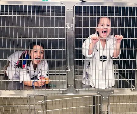 Steel City Emergency Vets