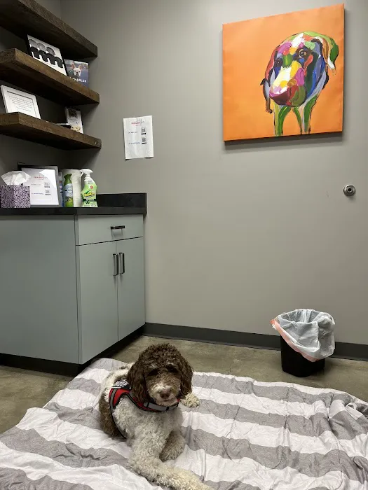 Steel City Emergency Vets Picture 7