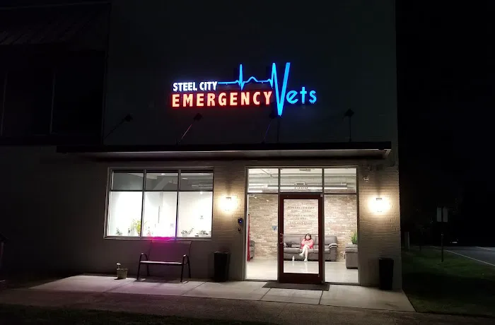 Steel City Emergency Vets Picture 5
