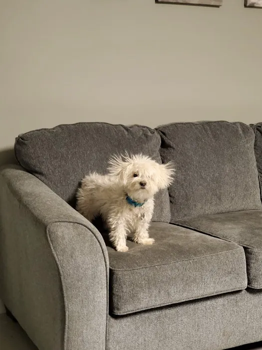 Compassionate Crossings Picture 2