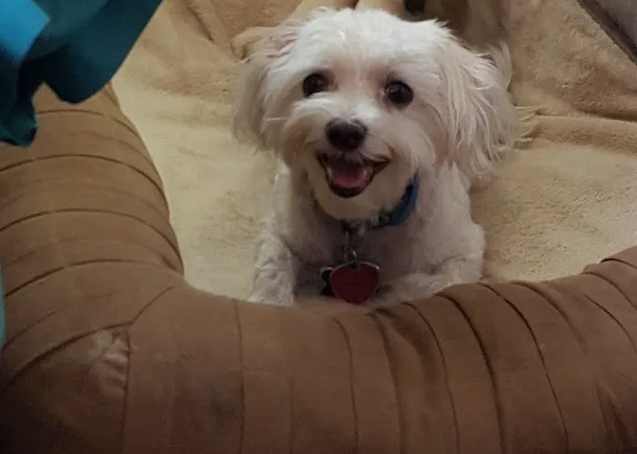 Compassionate Crossings Picture 1