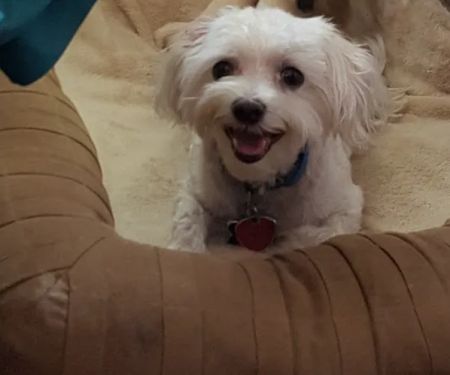 Compassionate Crossings