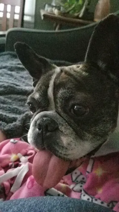 Midland Prairie Veterinary Services (formerly Ballard/Sievers Vet) Picture 3