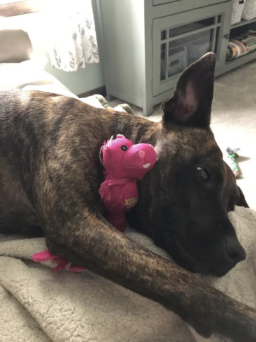 Midland Prairie Veterinary Services (formerly Ballard/Sievers Vet) Picture 2