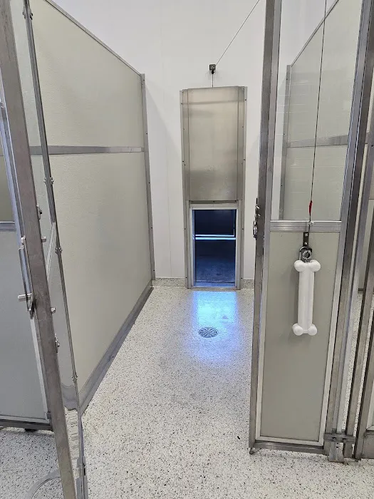 Harmony Animal Hospital Picture 5