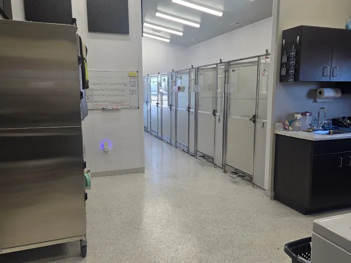 Harmony Animal Hospital Picture 3