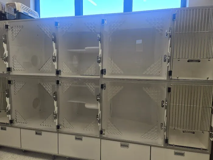 Harmony Animal Hospital Picture 4