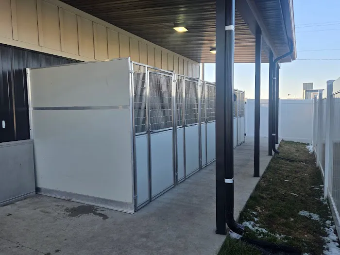 Harmony Animal Hospital Picture 2