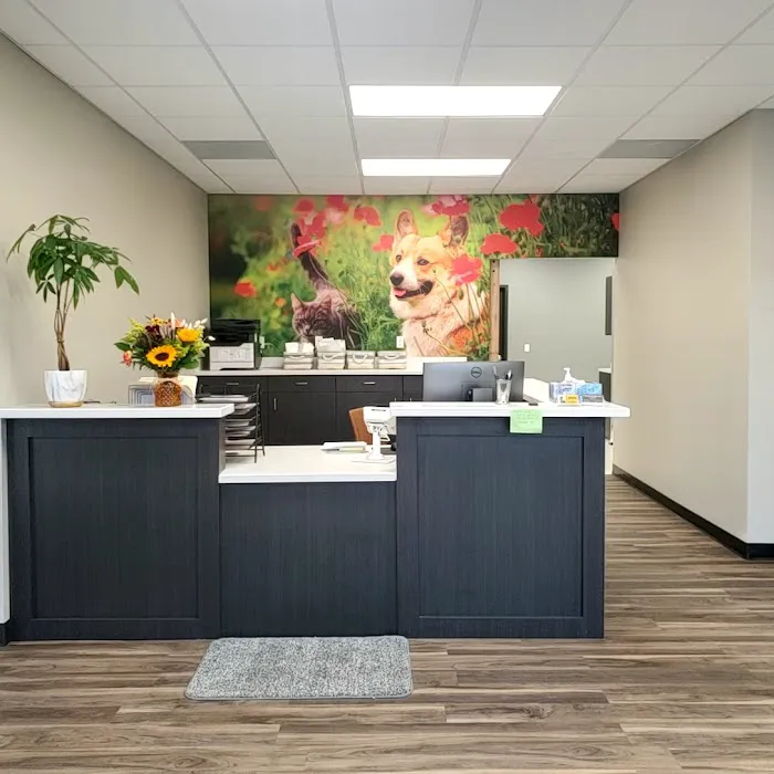 Harmony Animal Hospital Picture 6