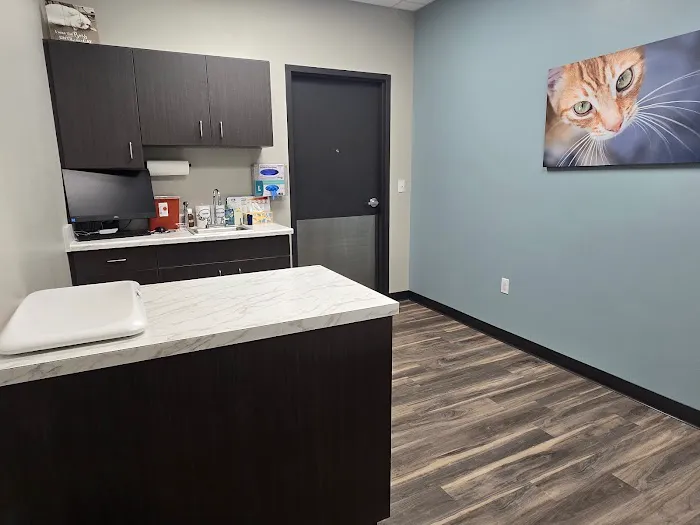 Harmony Animal Hospital Picture 8