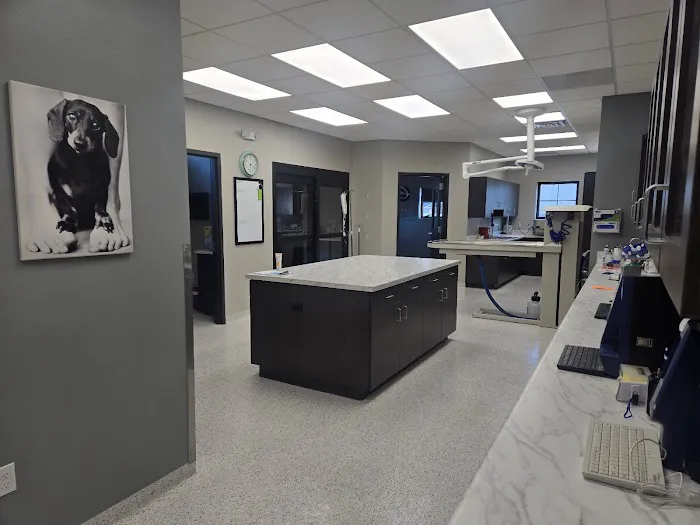 Harmony Animal Hospital Picture 9